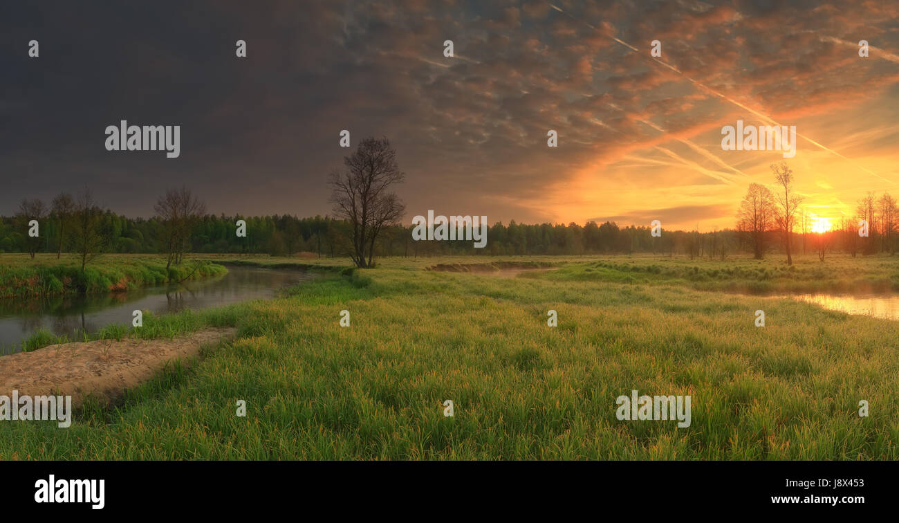 Lebendige Sonnenaufgang über Wiese. Coloful Himmel im morgendlichen Sonnenlicht. Aufgehenden Sonne beleuchtete schöne natürliche Sommerszene. Früh-Sommer-Hintergrund. Stockfoto