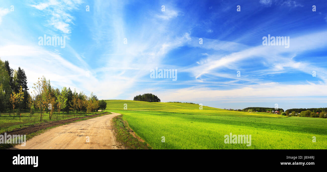 Weg im grünen Wiese am Sommertag. Sonnige Sommerlandschaft. Malerische Landschaft in leuchtenden Farben. Stockfoto