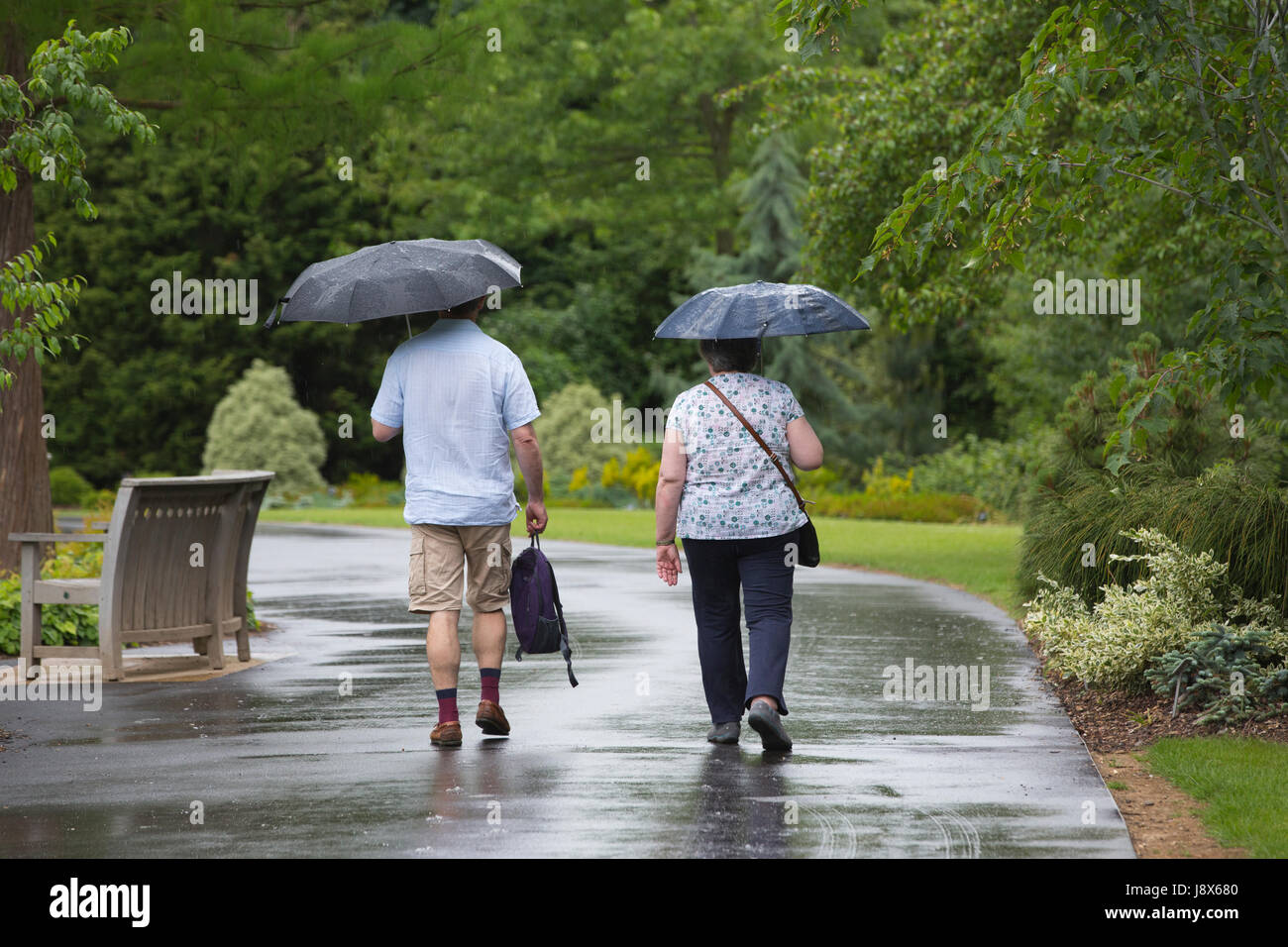 Ein paar Spaziergang im Regen mit Regenschirmen während eines Regenschauers über Mai Feiertag im RHS Garden Wisley, Surrey, UK Stockfoto