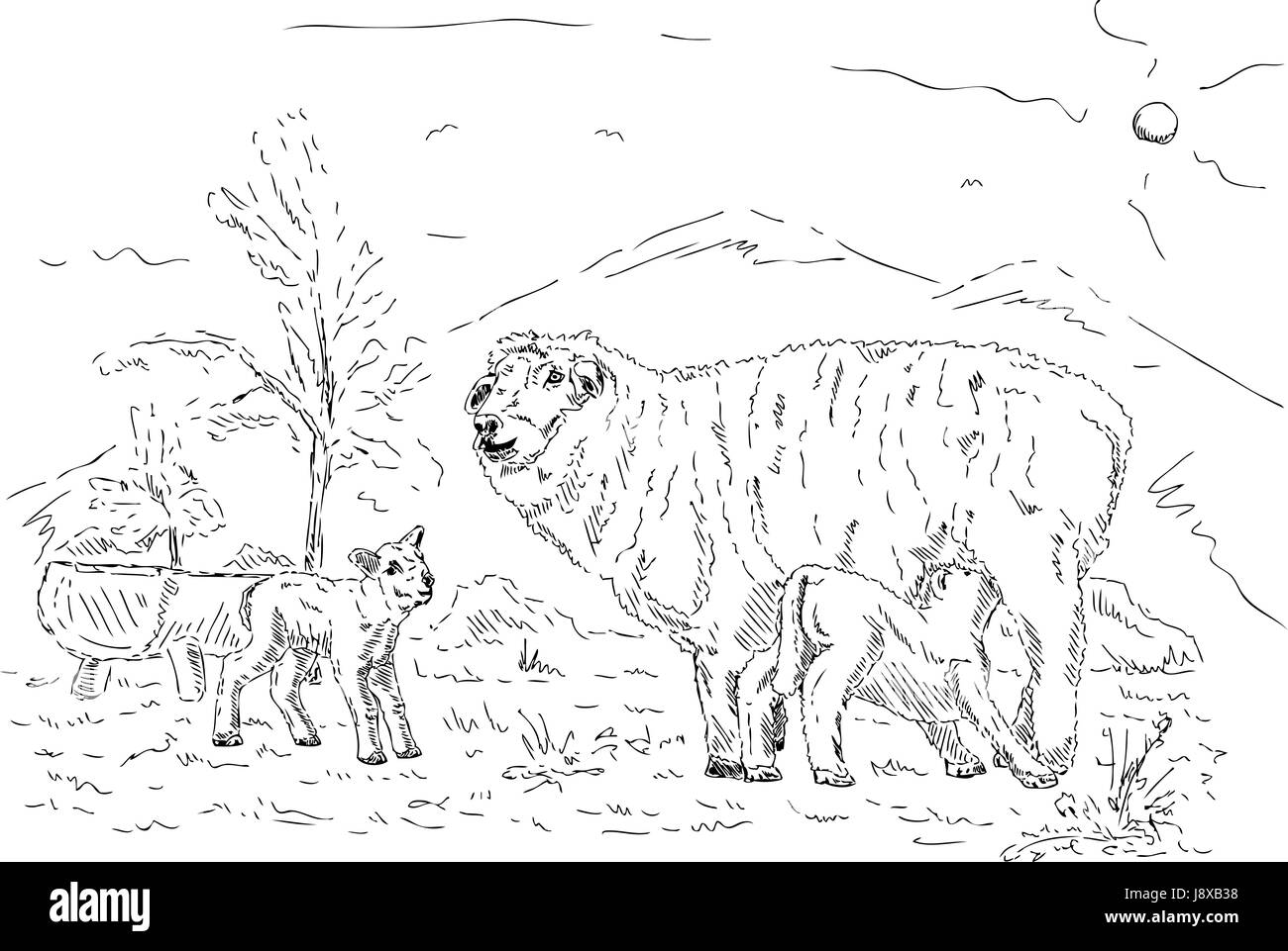 isoliert, Farbe, Tier, Illustration, malen, zeichnen, Cartoon, isoliert, Farbe, Stockfoto