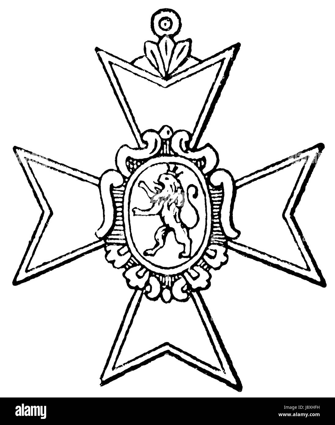 Löwe, Katze, Raubkatze, Raubkatze, Kreuz, Deutschland, Bundesrepublik Deutschland, Stockfoto