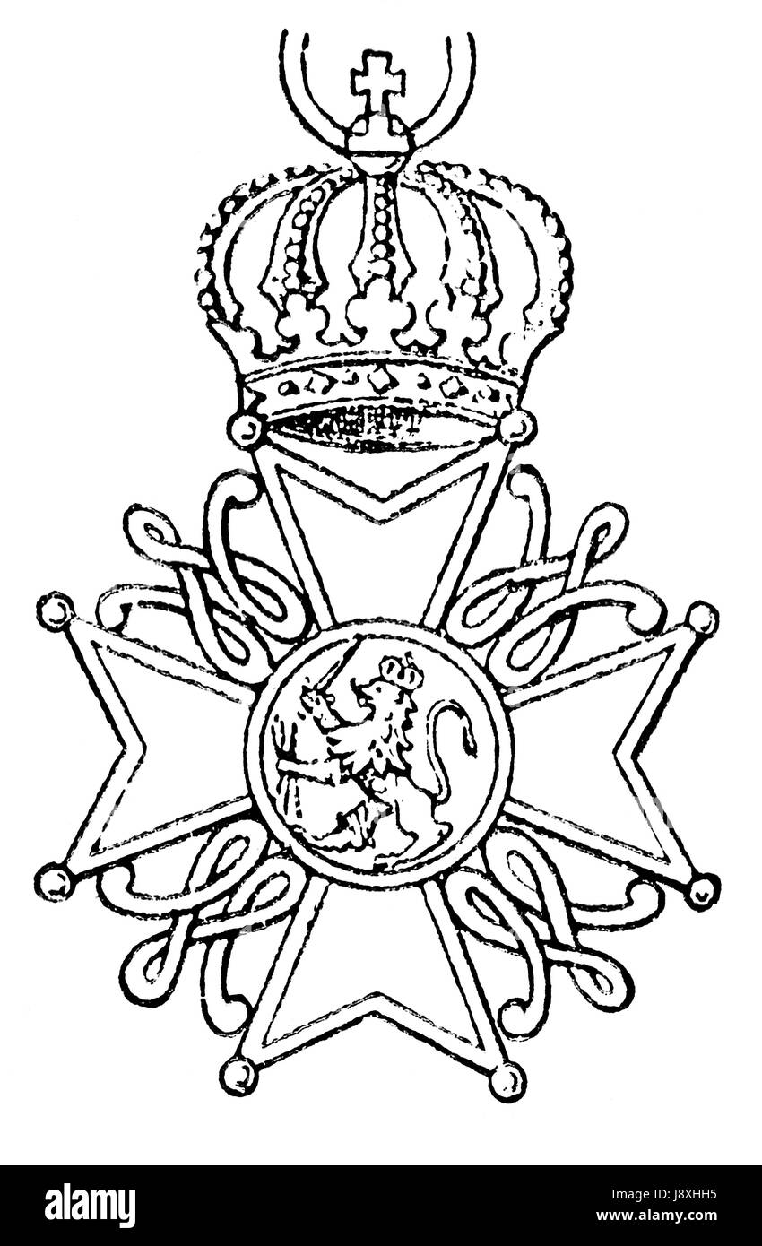 Löwe, Katze, Raubkatze, Raubkatze, Kreuz, Niederlande, Kaiser, König, Royal, Stockfoto