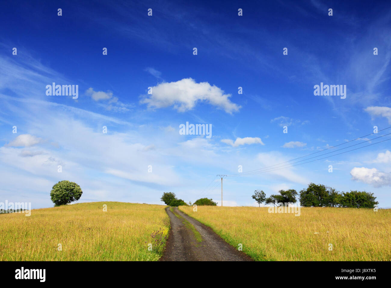 Download Schoenheit der natur Desktop Wallpaper Free Schoenheit Der Natur