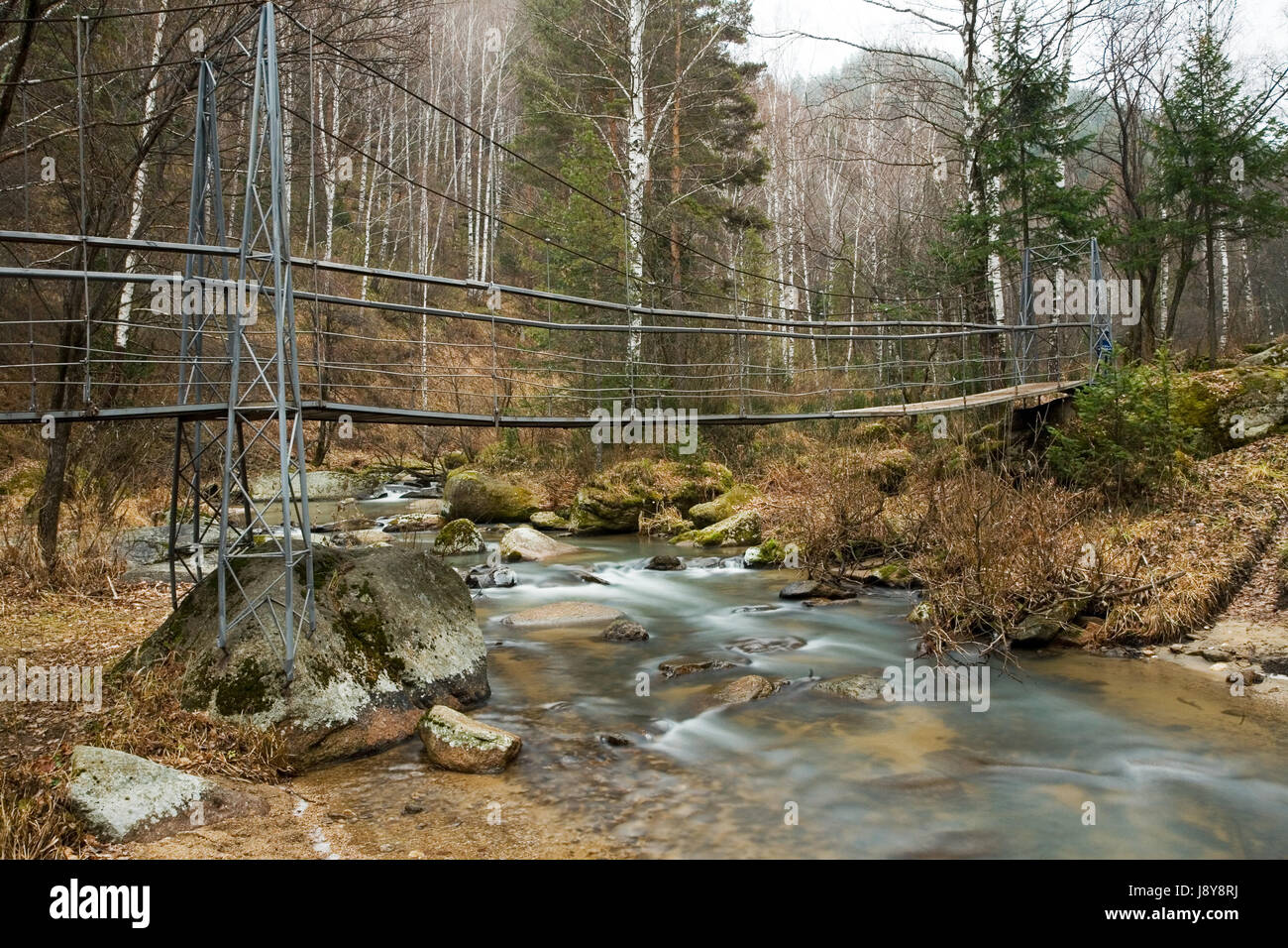 Baum, Stein, Brücke, Kiefer, Strahl, Drop, Hängebrücke, Tanne, Sibirien, Moos, Stockfoto