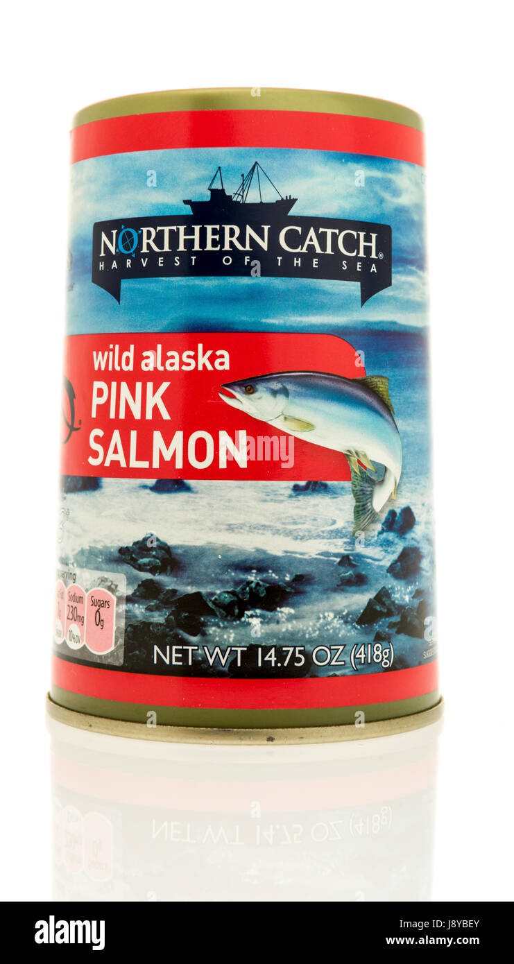 Winneconne, Wisconsin - 13. Mai 2017: A can des nördlichen fangen Alaska rosa Wildlachs auf einem isolierten Hintergrund. Stockfoto