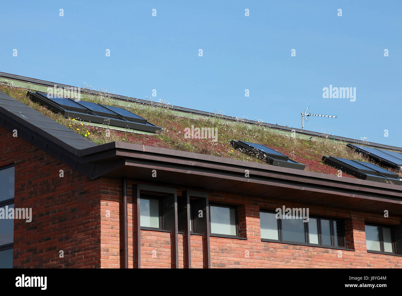 Das Dach des Market Drayton Niedrigenergiehaus gebaut Polizeistation mit einer grünen Sedum-Matte und solar-Photovoltaik-panels Stockfoto