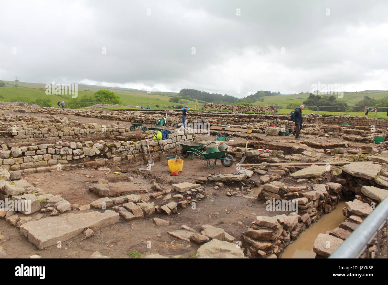 Grabung in Vindolanda Stockfoto