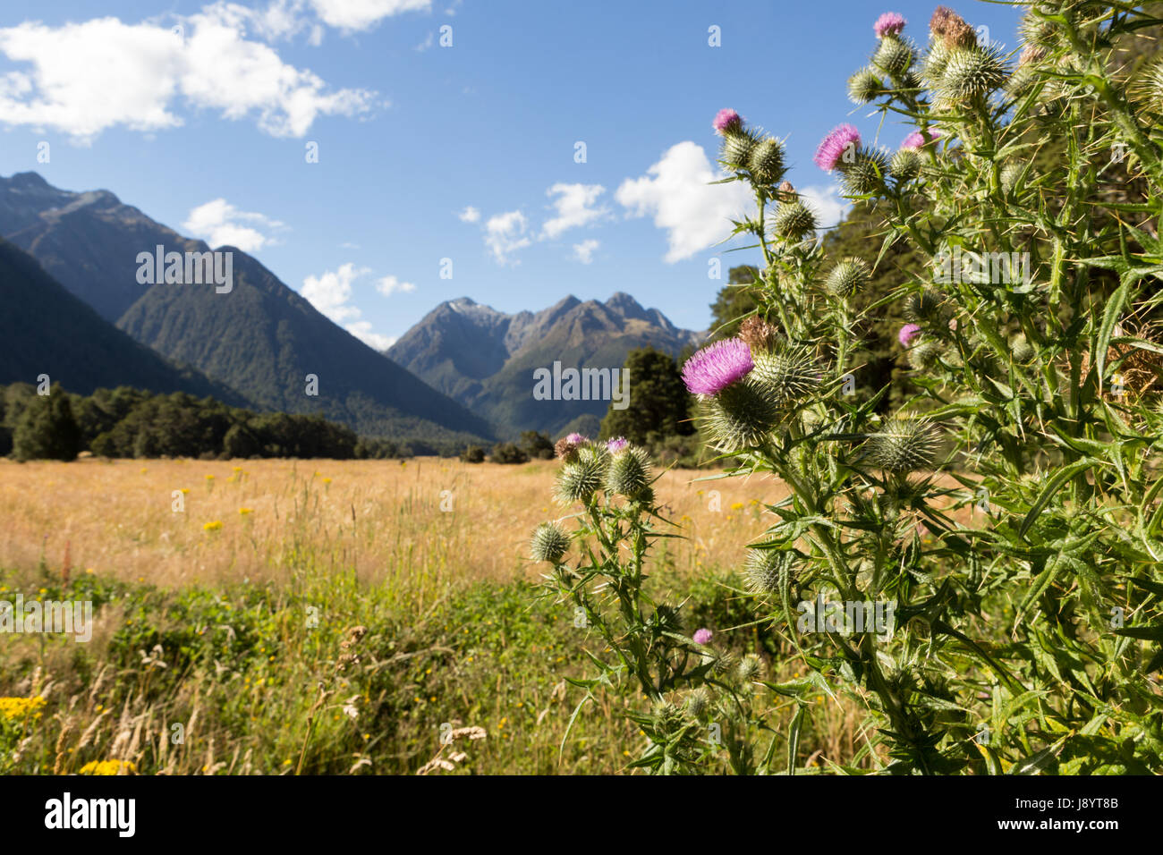 Blick über den eglinton Valley vom Milford Highway, Fiordland National Park, South Island, Neuseeland Stockfoto