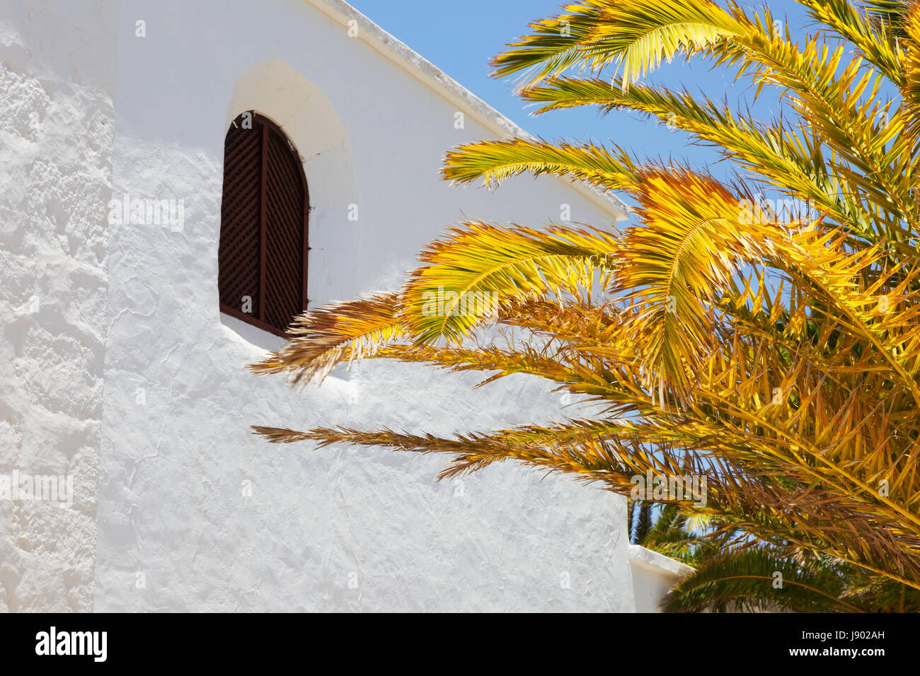 Lanzarote - typische weiße Gebäude, Palmen und blauer Himmel, Fermes Stadt Lanzarote Kanarische Inseln Europas Stockfoto