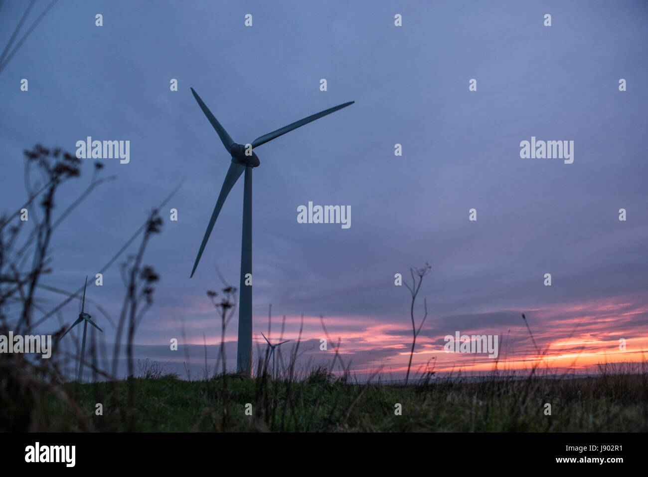 Windkraftanlagen in der Abenddämmerung Stockfoto