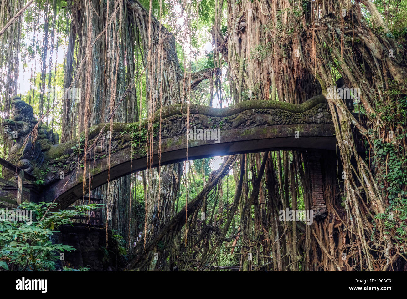 Monkey Forest, Ubud, Bali, Indonesien, Asien Stockfoto