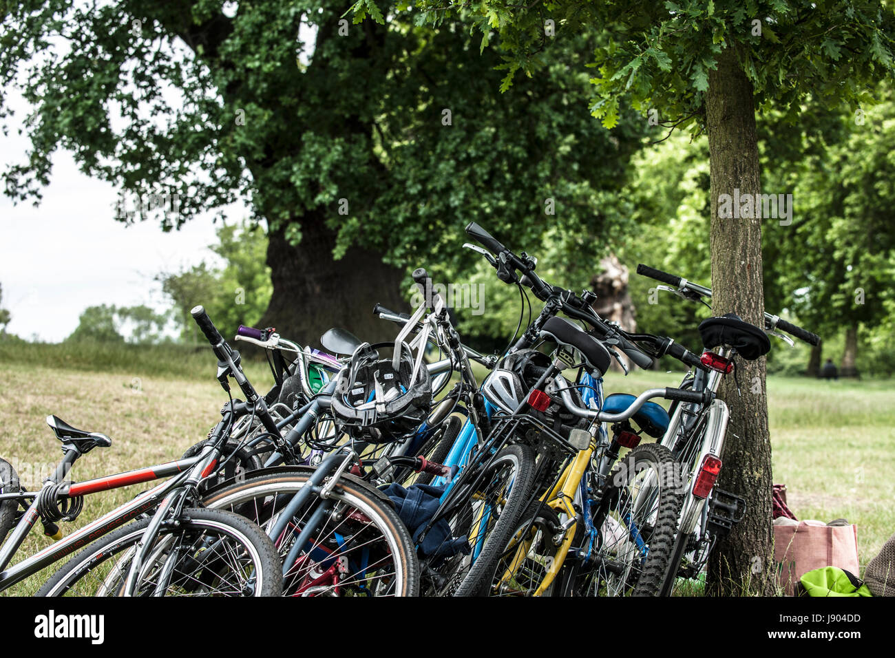 Haufen von Fahrrädern, die sich gegen den Baum lehnen Stockfoto