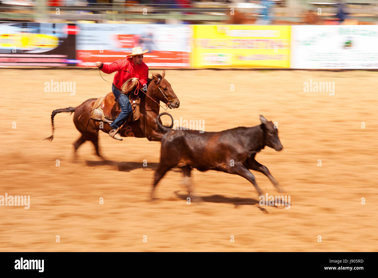 Rodeo ist ein beliebter Zeitvertreib in Mato Grosso Do Sul, Stadt Bonito, Brasilien Stockfoto