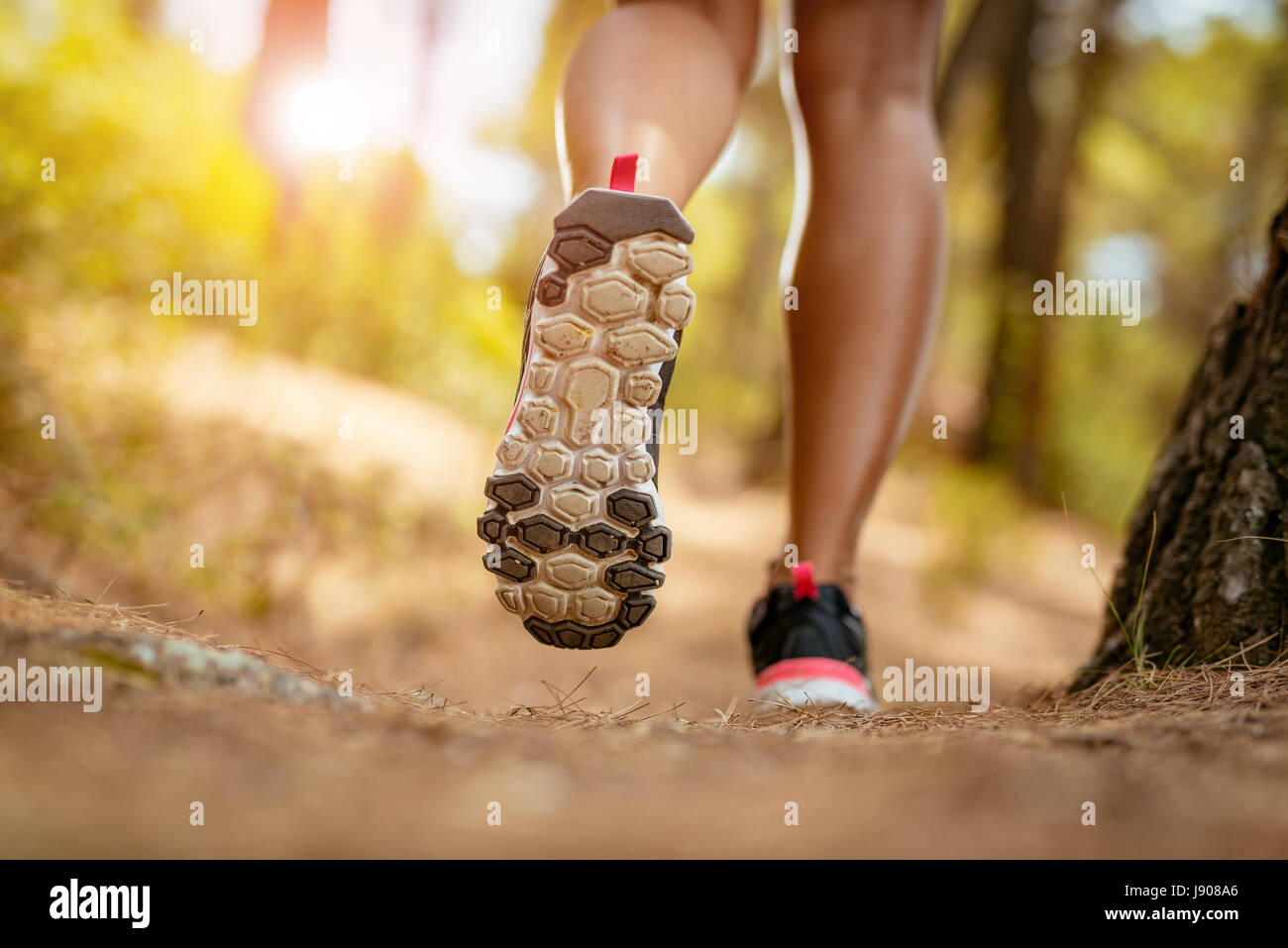 Nahaufnahme der unkenntlich weibliche Person, die durch den Pinienwald. Sicht nach hinten. Stockfoto