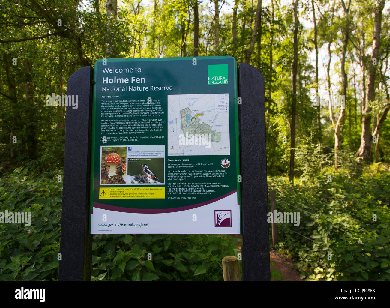 Holme Fen National Nature Reserve Stockfoto