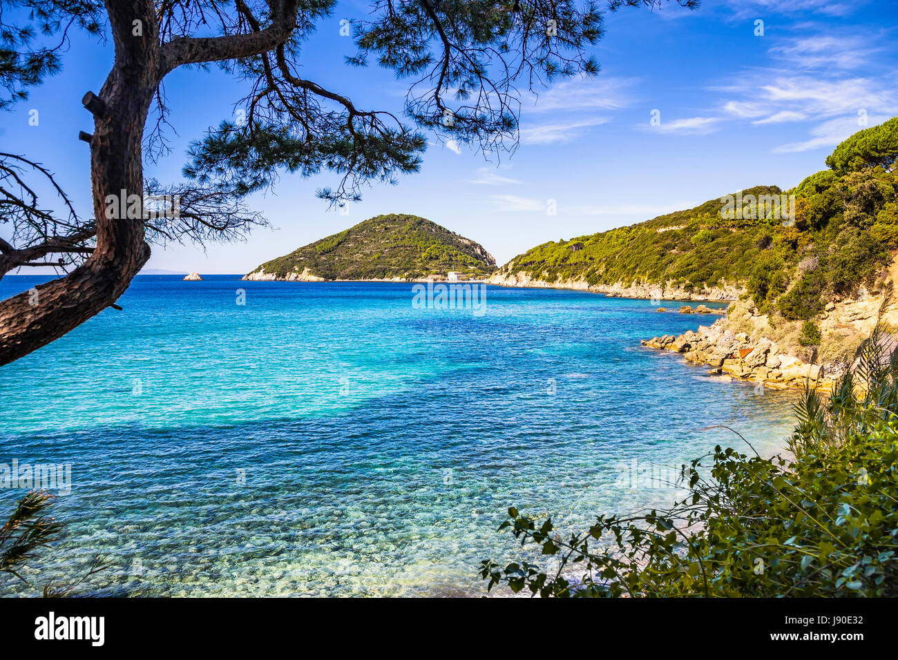 Elba Insel Meer, Portoferraio Viticcio Strandküste und mediterranen Pinien Toskana, Italien, Europa. Stockfoto