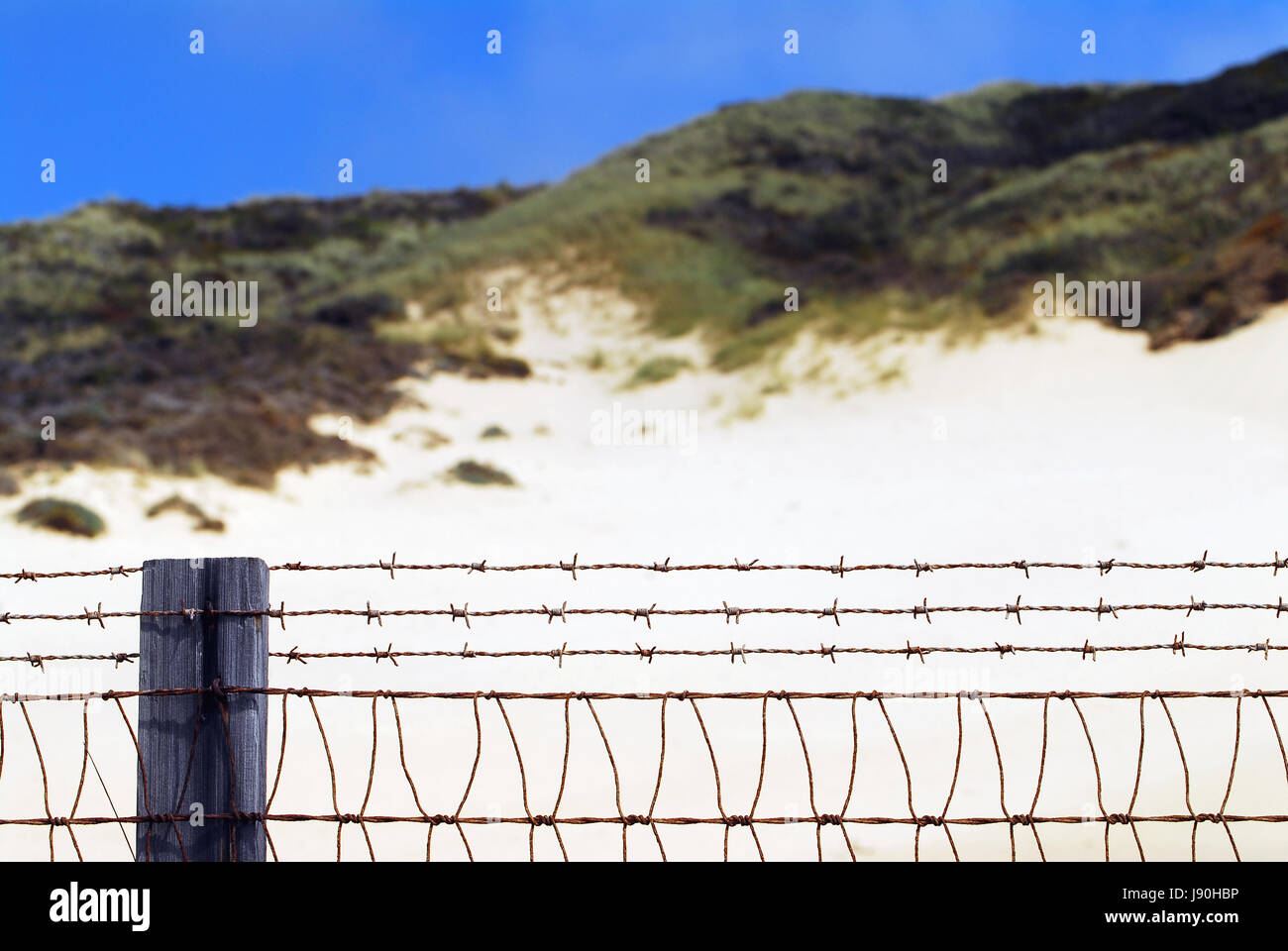 Carmel Beach Kalifornien USA Stockfoto