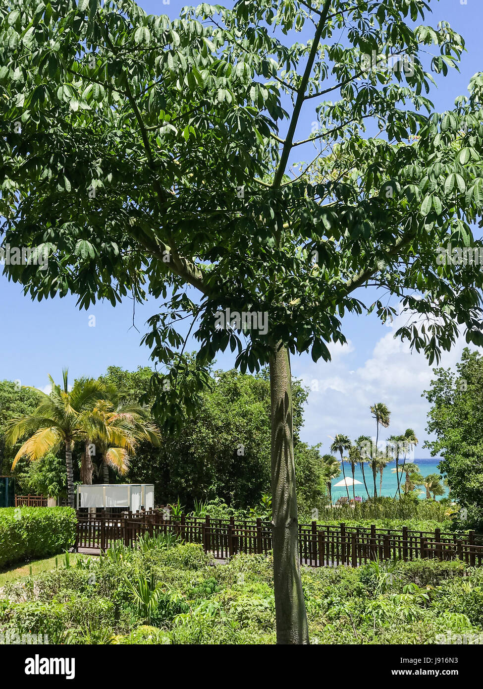 Mexikanische Riviera Stockfoto