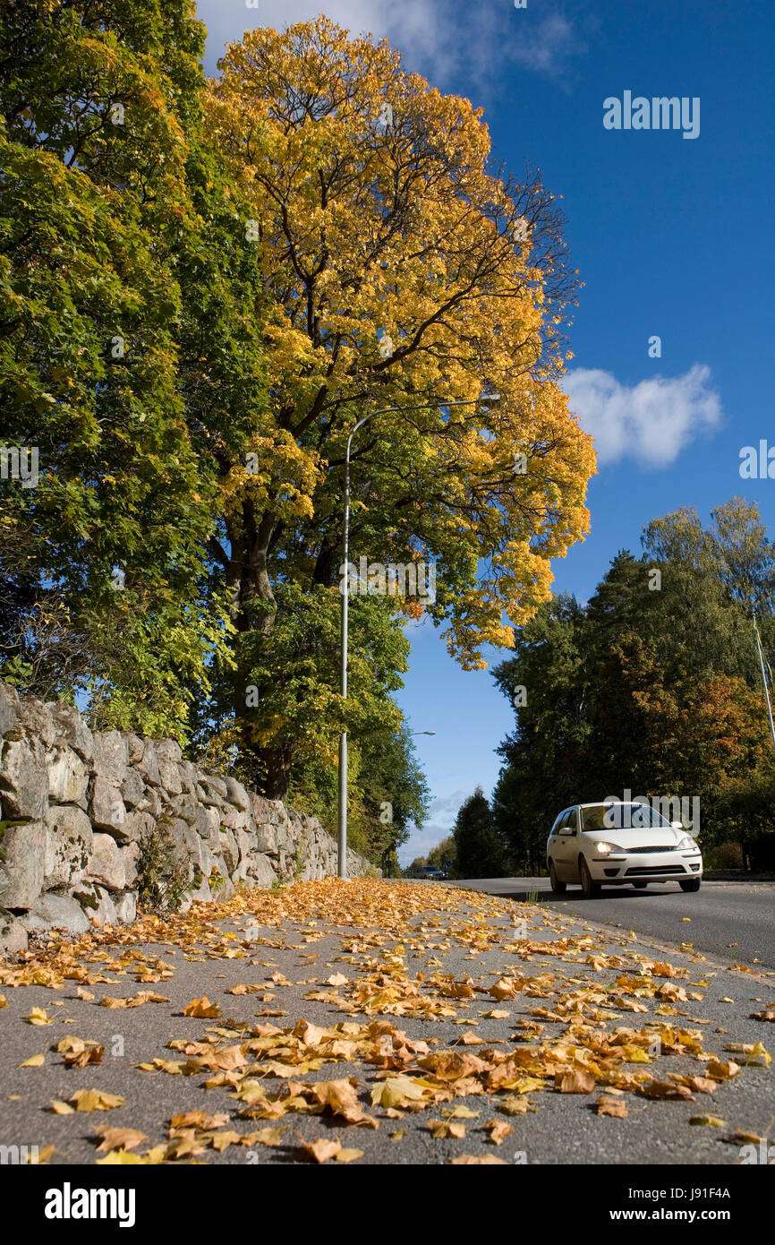 Blatt, Reisen, Baum, Berg, Motor, Antrieb, Motor, Verkehr, Transport, Auto, Stockfoto