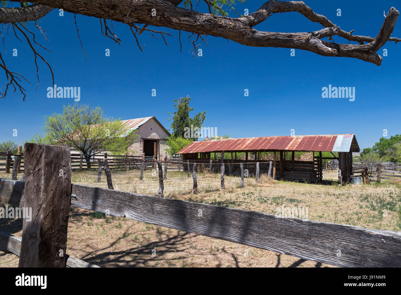 Sonoita, Arizona - der historische Empire Ranch, sobald eines der größten Rinder in Amerika Ranches. Die Ranch wird vom Bureau of Land Manag verwaltet. Stockfoto