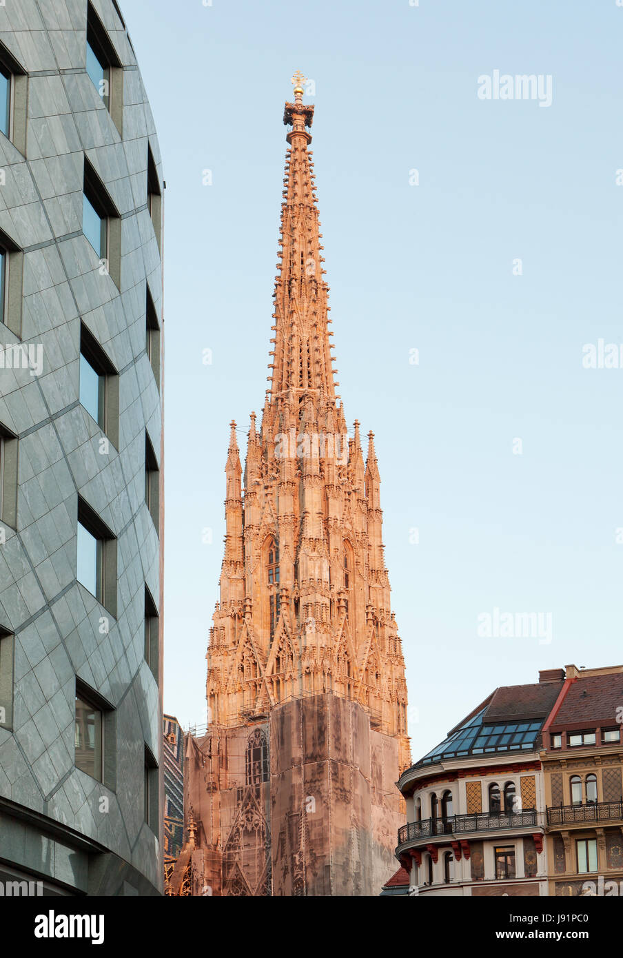 Stephansdom-Wien Stockfoto