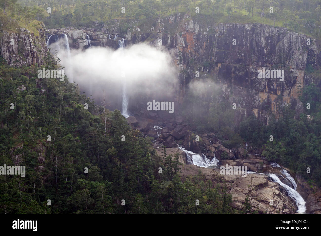 Nebligen Morgen bei Blencoe Wasserfällen, Girringun Nationalpark, Queensland, Australia Stockfoto