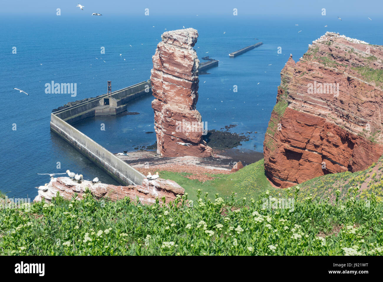 Klippe namens Lange Anna am westlichen Punkt der Insel Helgoland, Deutschland Stockfoto