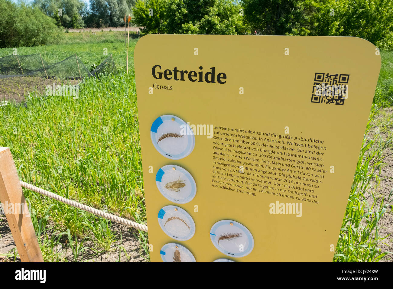 Getreide ernten Anbaufläche zur IGA 2017 internationales Gartenfestival (internationale Garten Ausstellung) in Berlin, Deutschland Stockfoto