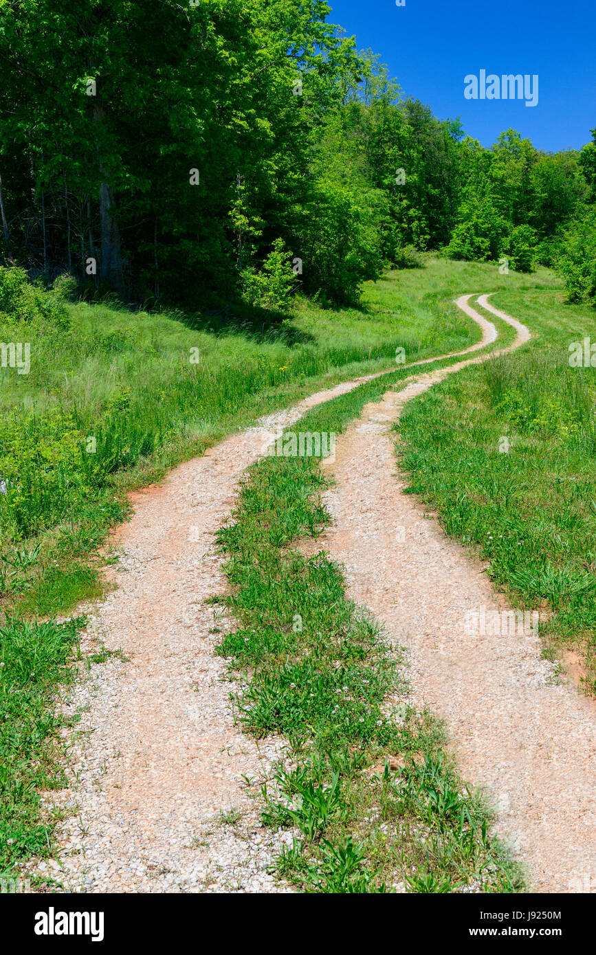 Eine kurvenreiche Straße führt das Auge in die Ferne an einem lebendigen Frühlingsmorgen. Stockfoto