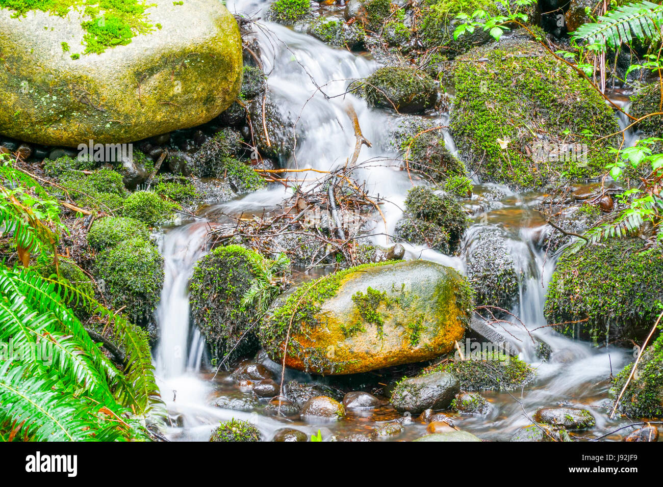 Schönen Creek zwischen bemoosten Steinen Kanada Stockfoto