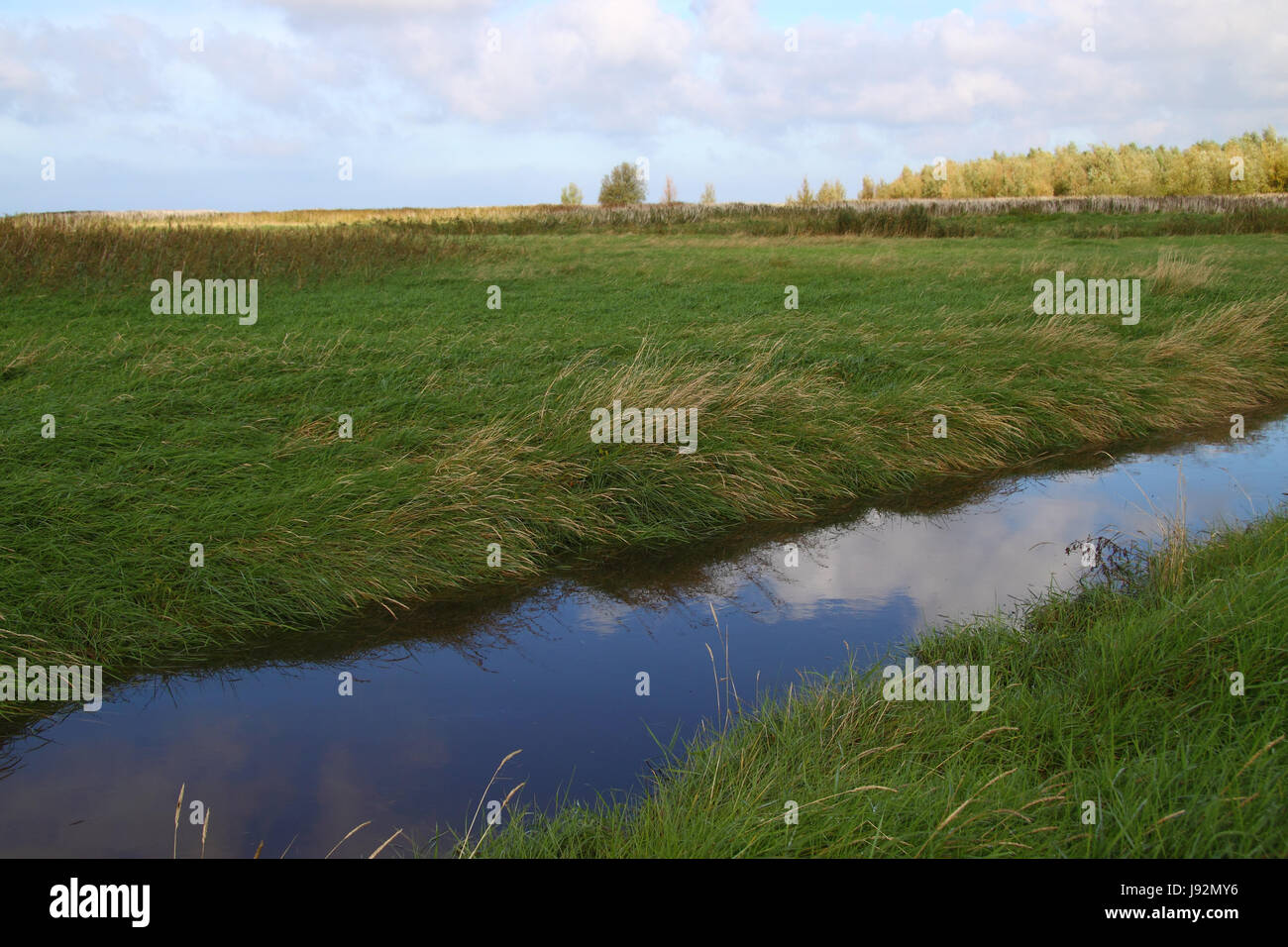 Entwässerungsgraben Stockfoto