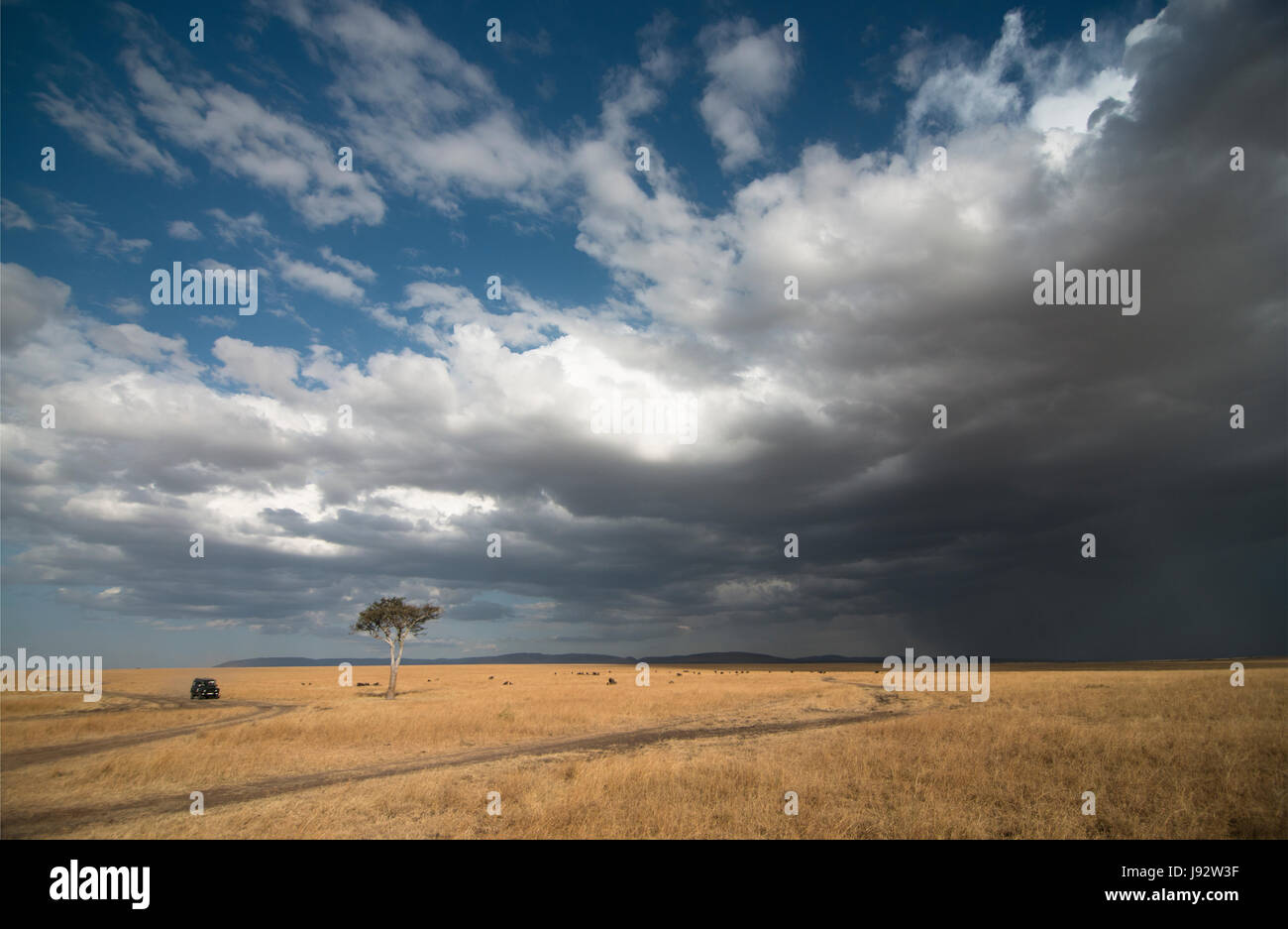 Gewitterwolken über Masai MAra Stockfoto