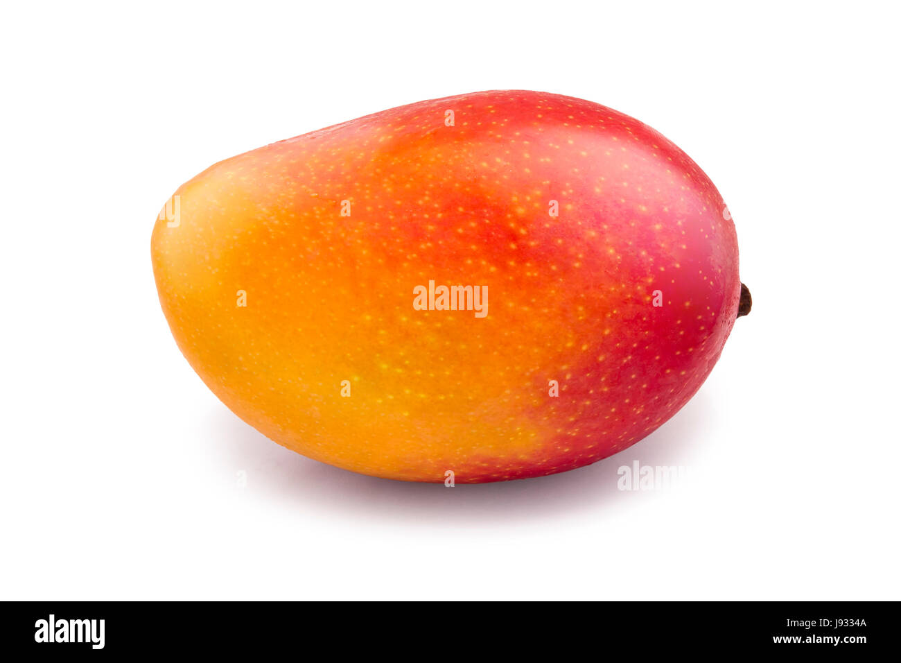 Frische saftige Mango-Frucht auf dem weißen Hintergrund isoliert. Keine Menschen. Bio exotischen tropischen Früchten. Bio-Obst-Konzept. Stockfoto