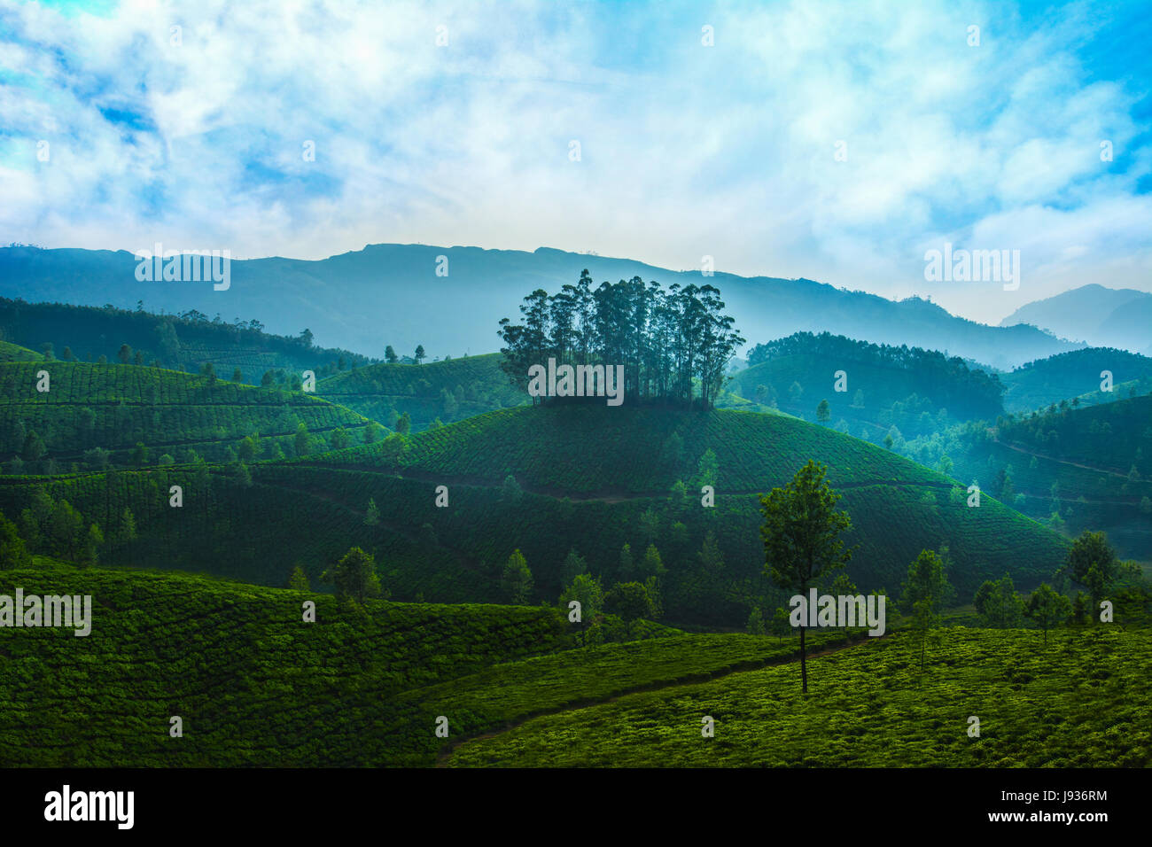 Munnar, Teegarten Munnar, Munnar Kerala, Kerala Tourism, Sunrise in Munnar, morgen mal in Munnar, Kerala Tourism Stockfoto