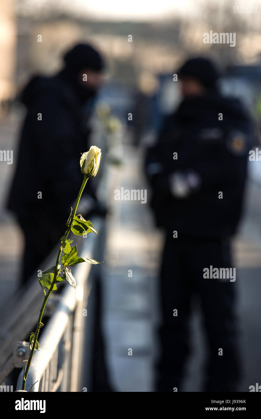 Polizisten und eine weiße Blume - ein Friedenssymbol - Demonstranten auf der Barriere trennt Demonstranten vom Parlament (Sejm). Stockfoto
