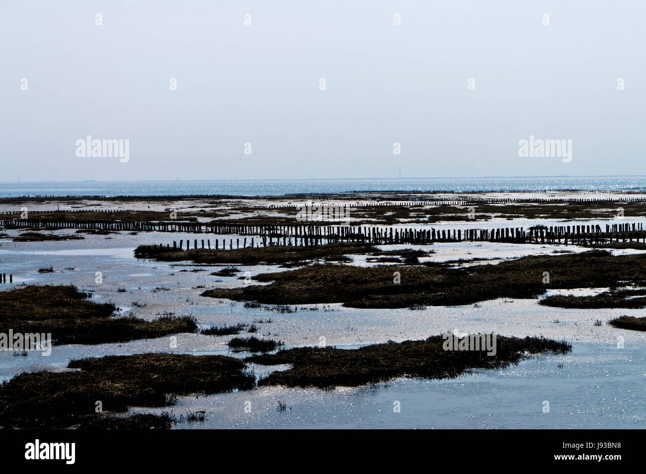 Horizont, Nationalpark, Wasser, Nordsee, Salzwasser, Meer, Ozean, Stockfoto