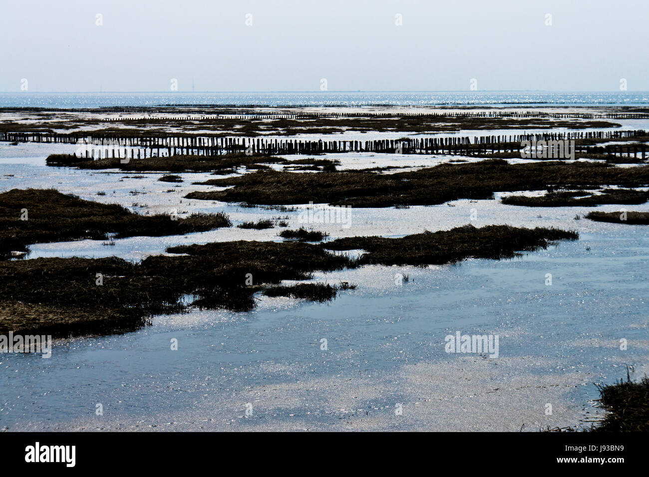 Horizont, Nationalpark, Wasser, Nordsee, Salzwasser, Meer, Ozean, Stockfoto