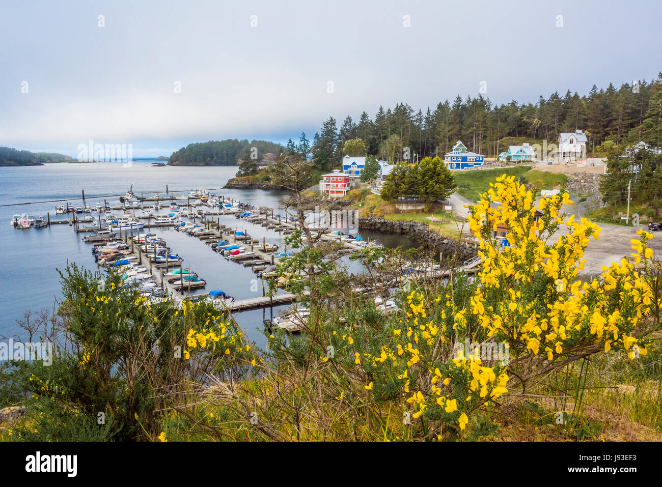 Cheanuh Marina, Spirit Bay, Vancouver Island, British Columbia, Kanada. Stockfoto