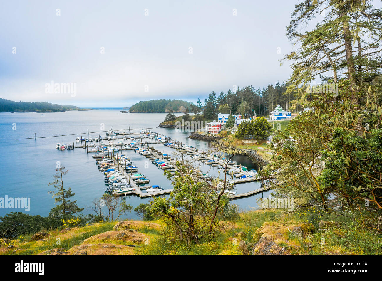 Cheanuh Marina, Spirit Bay, Vancouver Island, British Columbia, Kanada. Stockfoto