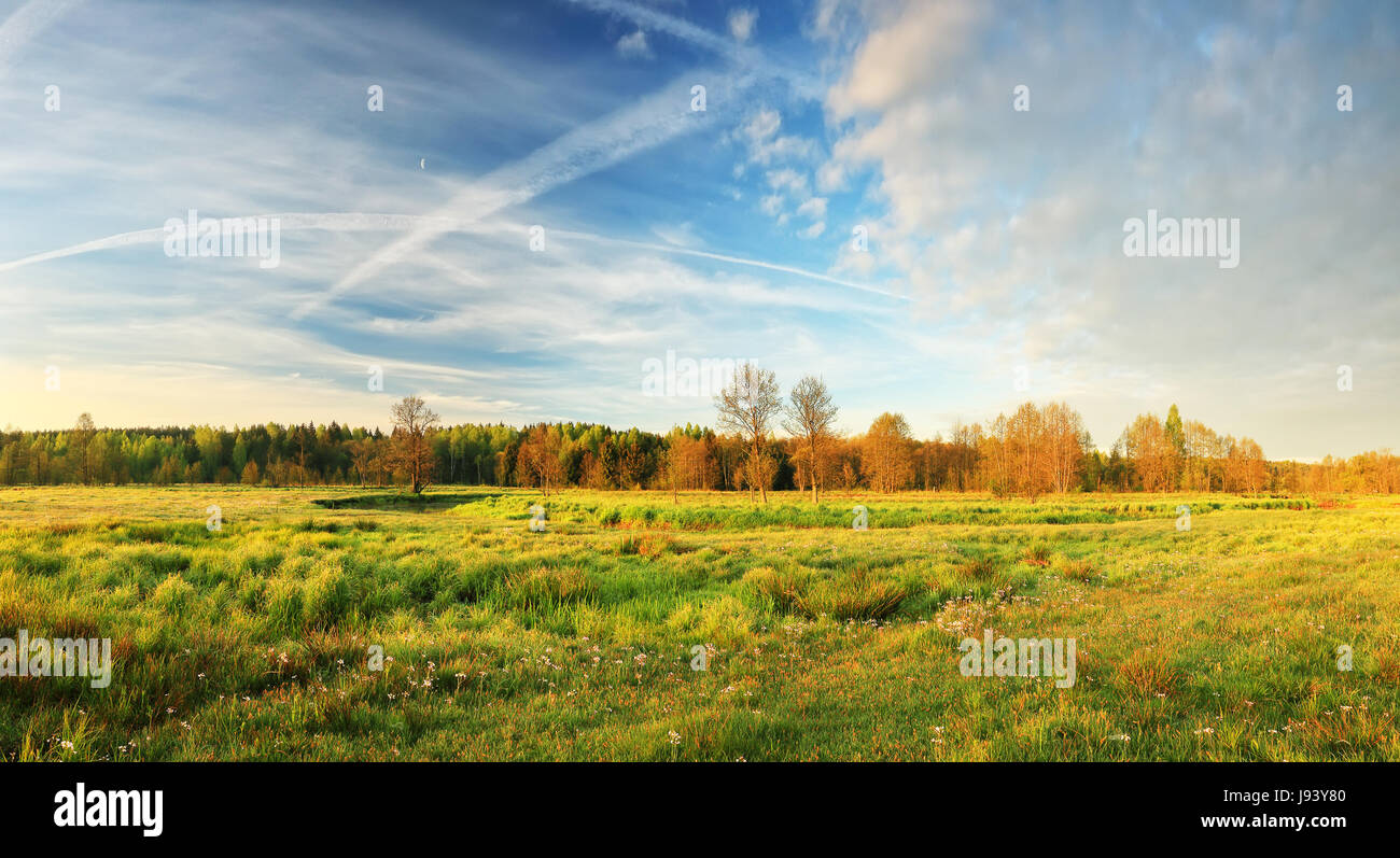 Blauer Himmel mit flauschigen Wolken über Bloomig Wiese. Sommer-Landschaft. Sonniger Tag im grünen Tal. Stockfoto
