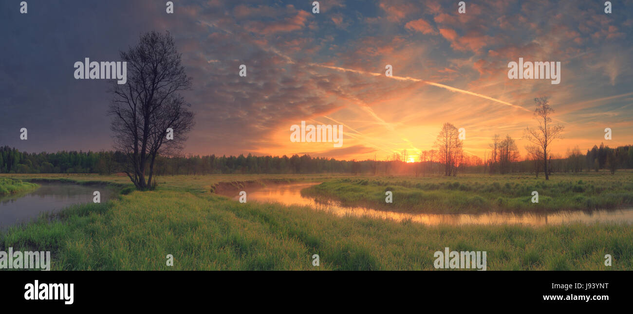 Aufgehenden Sonne über grüne Wiese. Morgenhimmel mit bunten Wolken. Sommerlandschaft am Morgen. Stockfoto