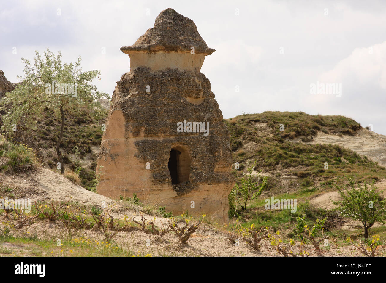 Horizontalen Schuss von Fairy Chimney in Kappadokien mit Rebe schießt um ihn herum Stockfoto