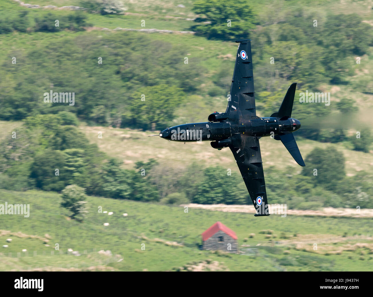 RAF Falken fliegen niedrig in der Mach-Schleife Stockfoto