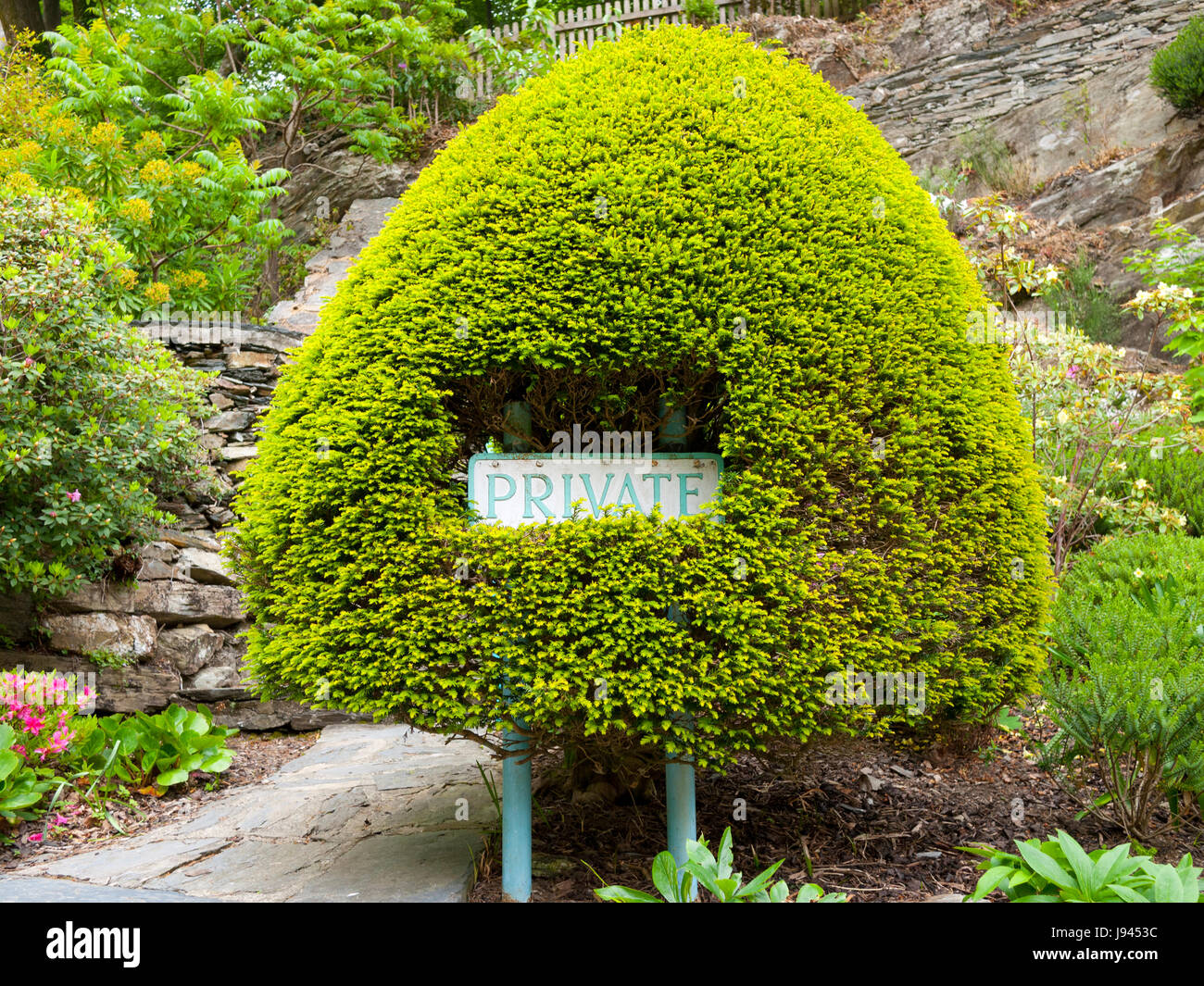 Private Zeichen in einem Liguster-Busch am Portmeirion, Gwynedd, Nordwales,  UK Stockfotografie - Alamy