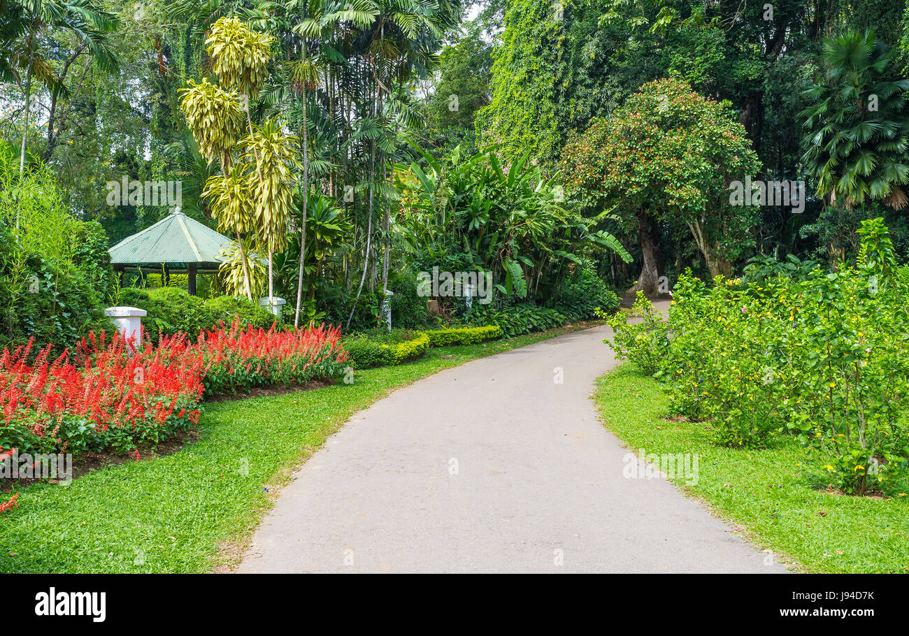 Koniglicher Botanischer Garten Ist Das Nur Stiller Ort In Lauten