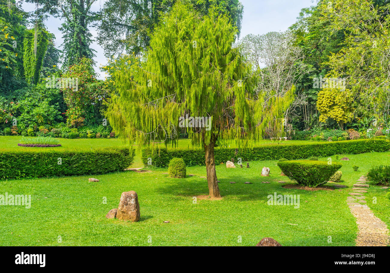 Königlicher Botanischer Garten in Peradeniya ist der beste Ort zum entspannen, unter Bäumen und Sträuchern, nur zu Fuß genießen Gerüche und Ansichten, Sri Lanka Stockfoto