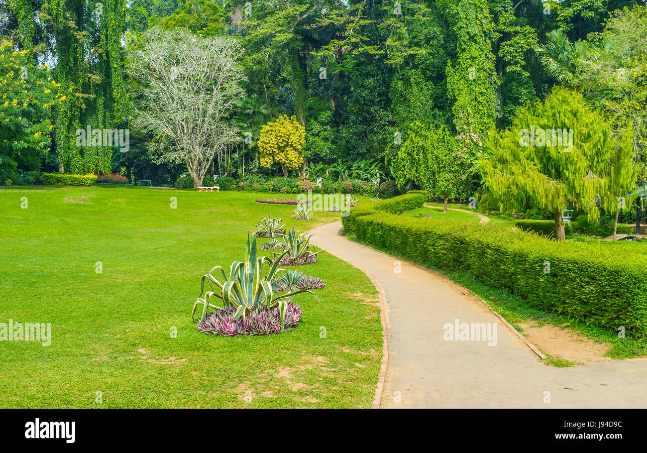Koniglicher Botanischer Garten In Peradeniya Ist Ein Muss Fur Alle