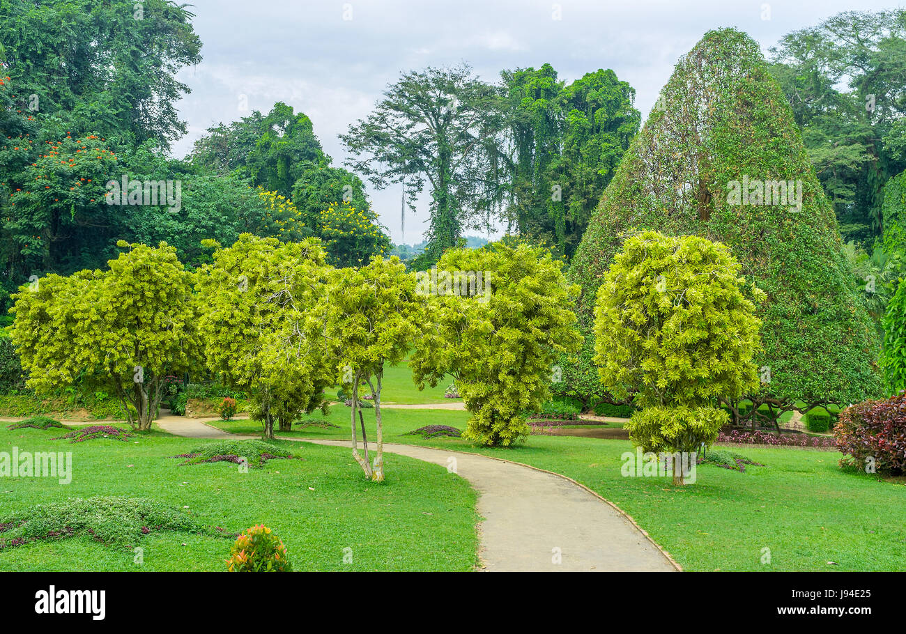 Die schmalere, gewundene Pfad läuft unter den schönen Pflanzen der Paradeniya königlichen botanischen Garten in Kandy, Sri Lanka. Stockfoto