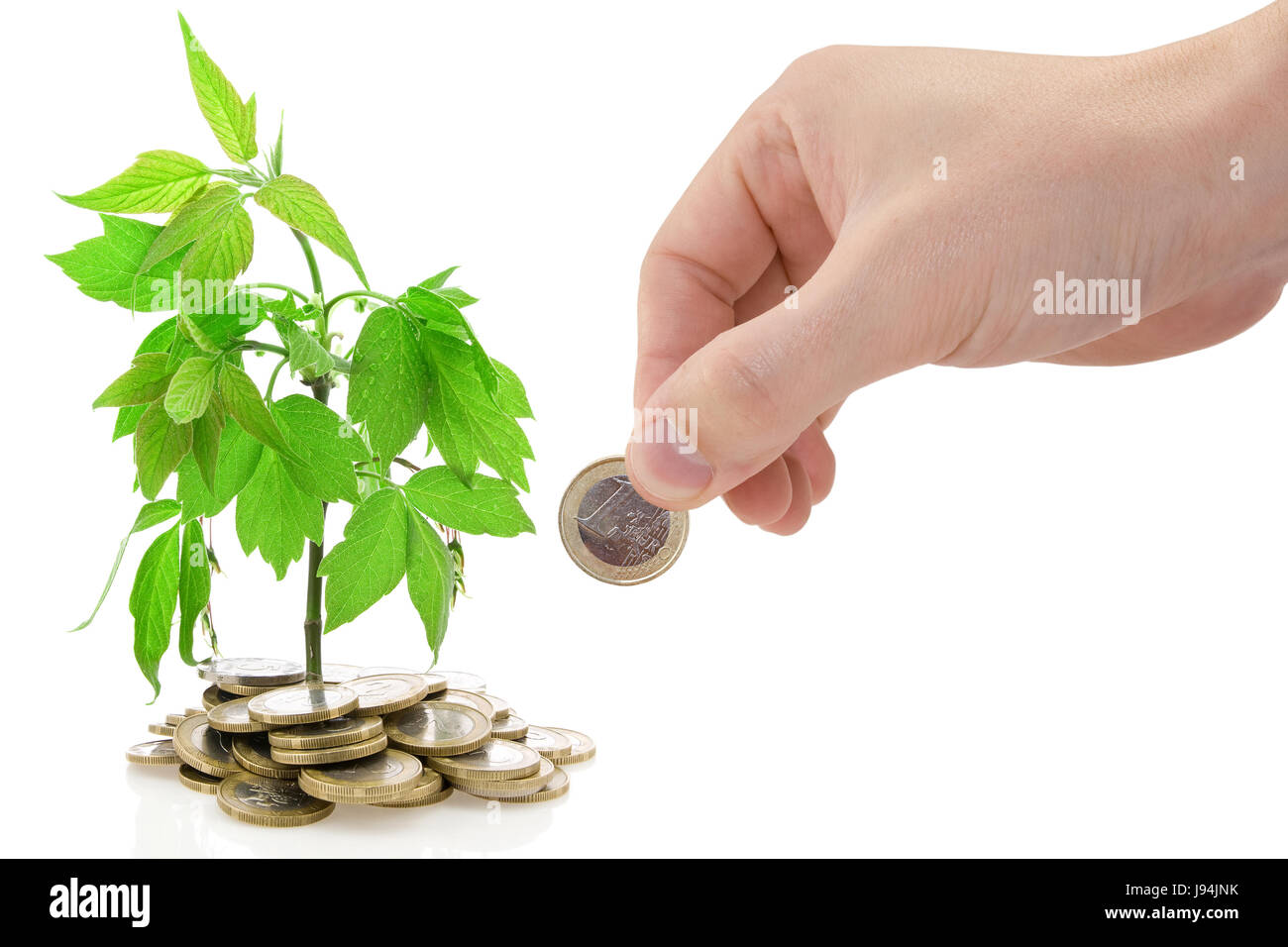 Bankkredite Institution, Modell, Entwurf, Projekt, Konzept, Plan, Entwurf, Stockfoto