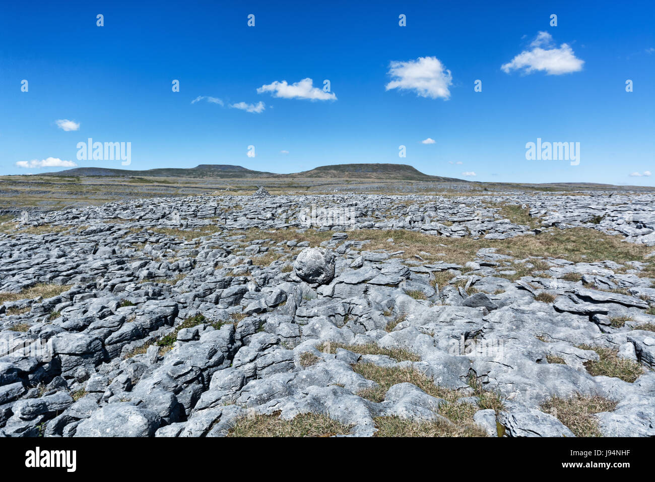 Whernside aus Moughton in Yorkshire Dales Stockfoto